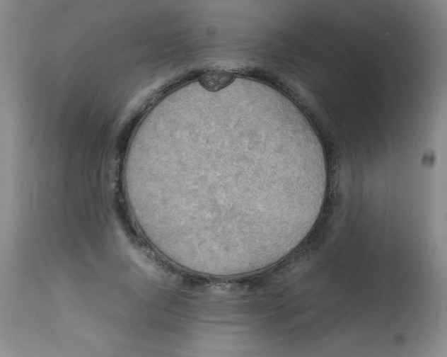 X0000113750736200910211146