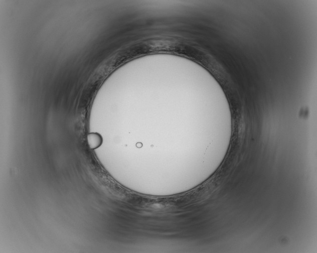 X0000113750737200910211146