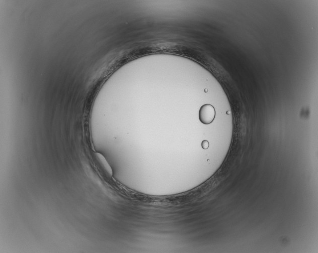 X0000113750738200910211146