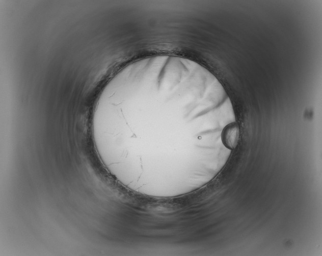 X0000113750739200910211146