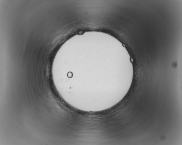 X0000113750740200910211146