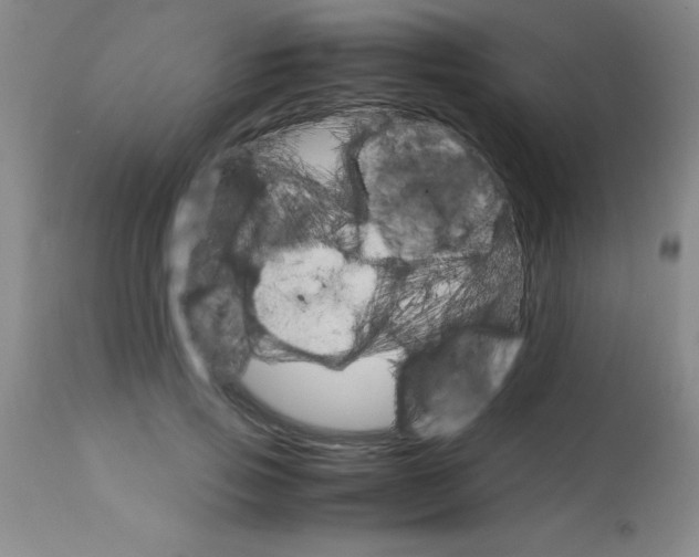 X0000113750741200910211146