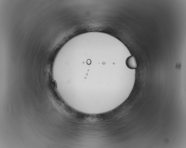 X0000113750742200910211146