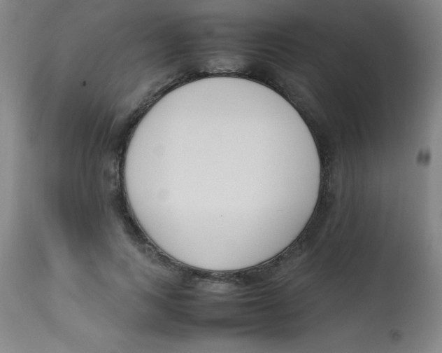 X0000113750743200910211146