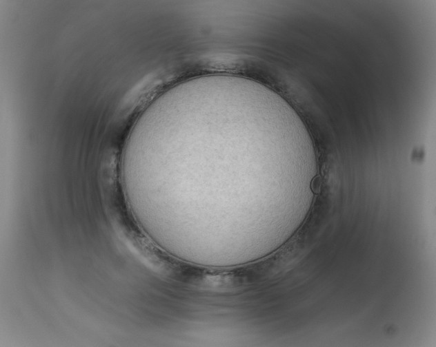 X0000113750744200910211146