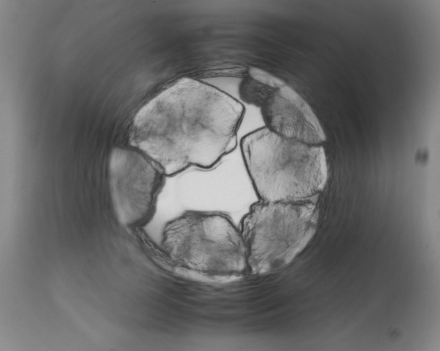 X0000113750745200910211146