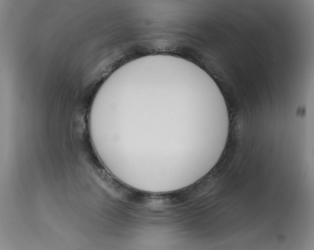 X0000113750746200910211146