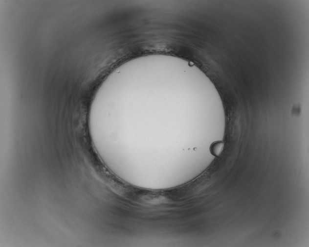 X0000113750747200910211146