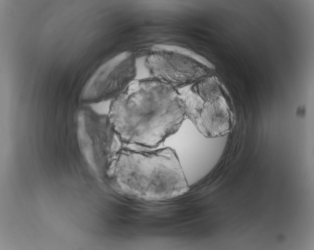 X0000113750749200910211146