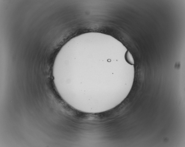 X0000113750750200910211146