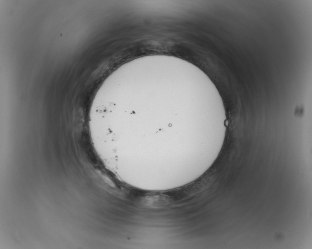 X0000113750752200910211146