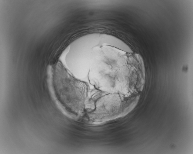 X0000113750753200910211146