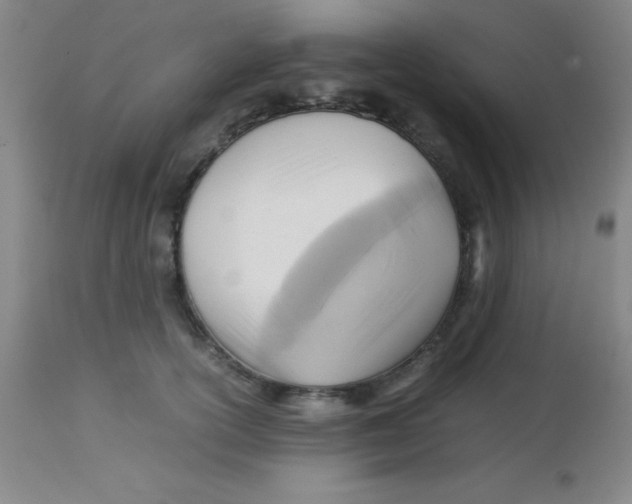 X0000113750754200910211146