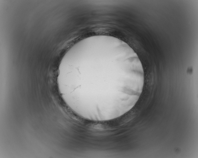 X0000113750755200910211146