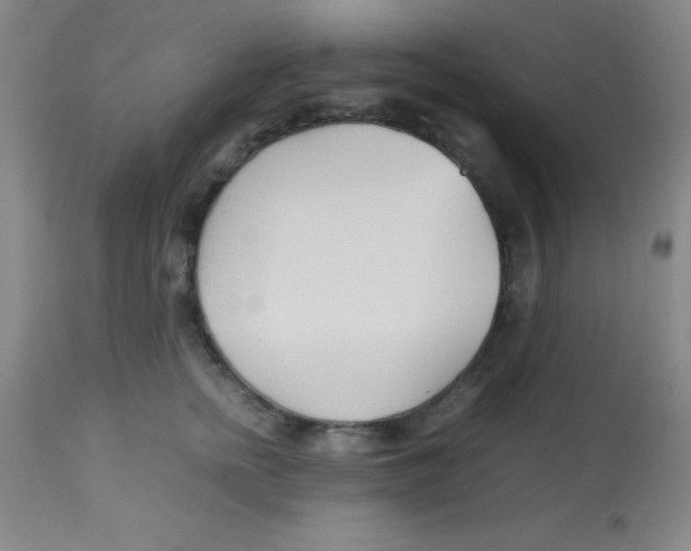 X0000113750758200910211146