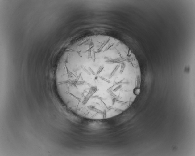 X0000113750759200910211146