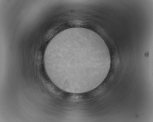 X0000113750760200910211146