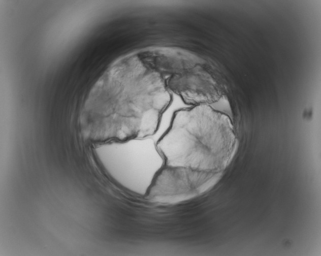 X0000113750761200910211146