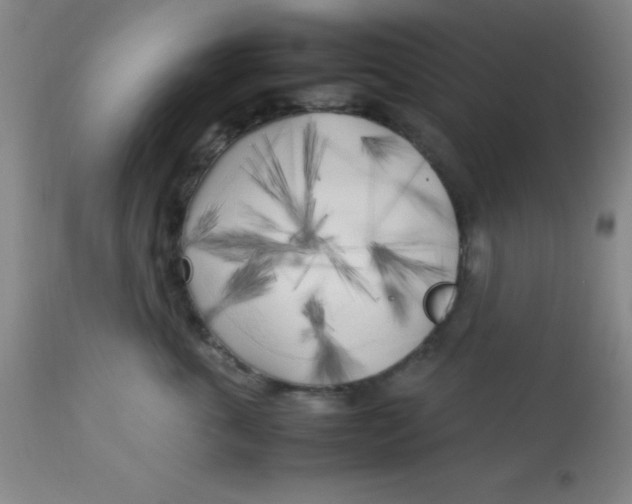 X0000113750763200910211146