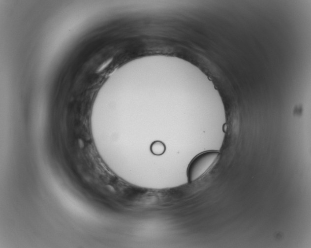 X0000113750764200910211146