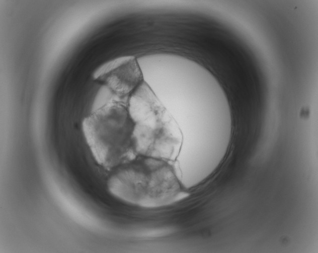 X0000113750765200910211146