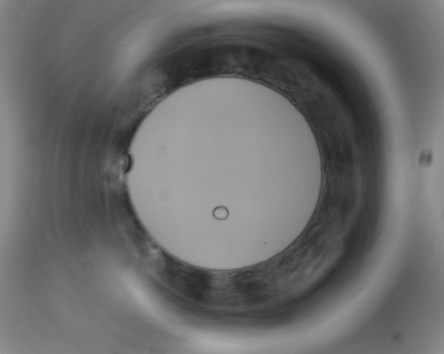 X0000113750766200910211146