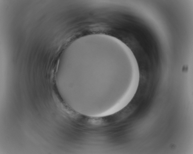 X0000113750767200910211146