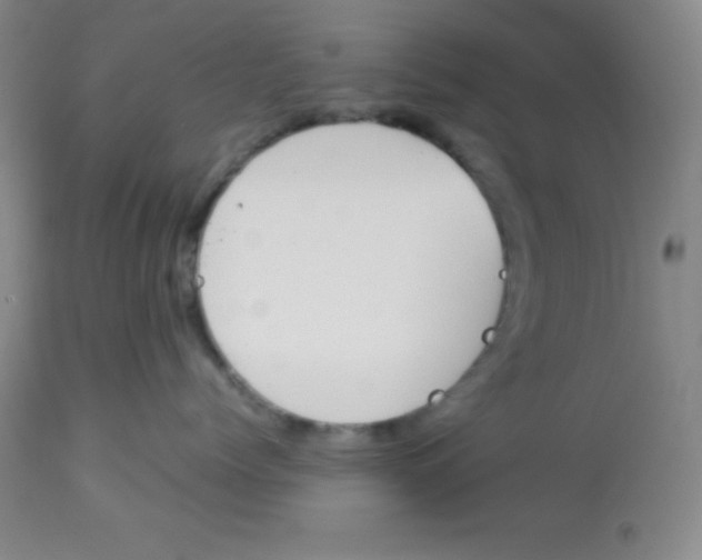 X0000113750768200910211146