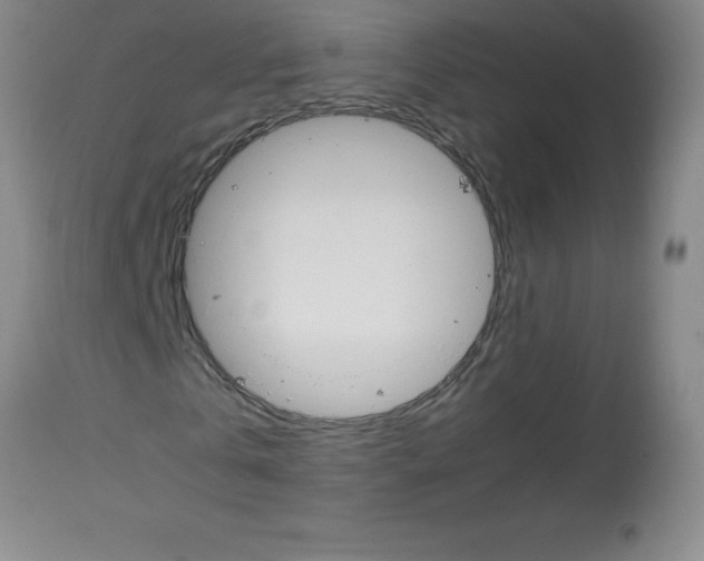 X0000113750769200910211146