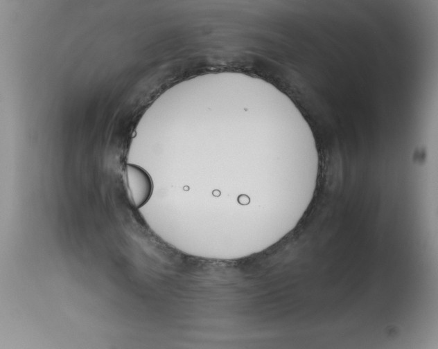 X0000113750770200910211146