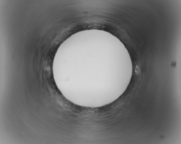 X0000113750771200910211146