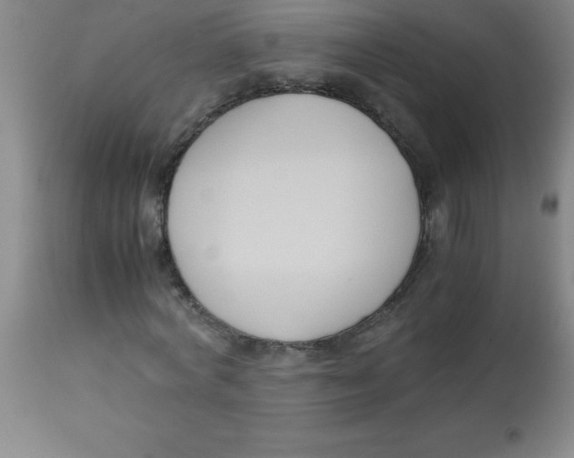 X0000113750772200910211146