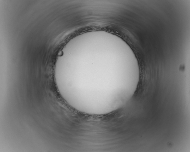 X0000113750773200910211146