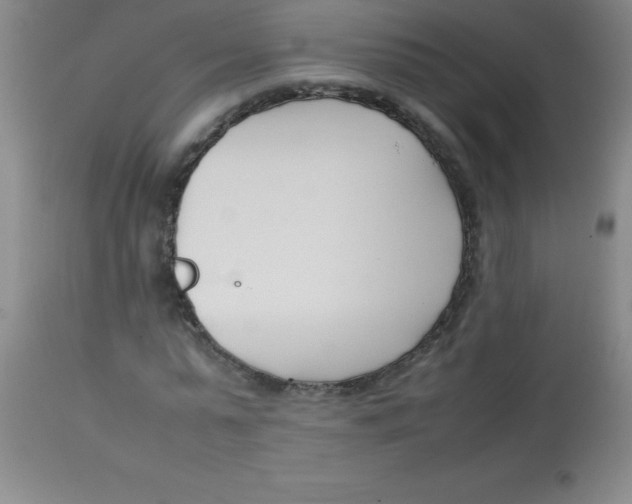 X0000113750775200910211146