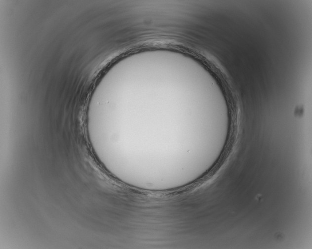 X0000113750777200910211146