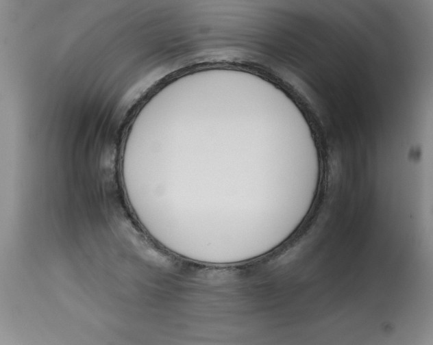 X0000113750778200910211146