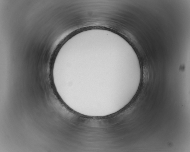 X0000113750780200910211145