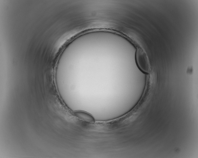 X0000113750781200910211145