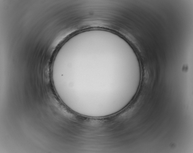 X0000113750782200910211145