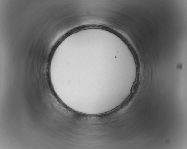 X0000113750783200910211145