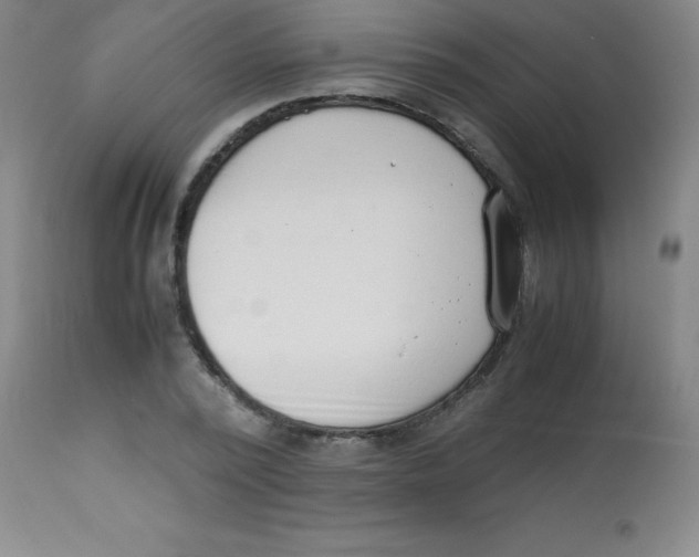 X0000113750784200910211145