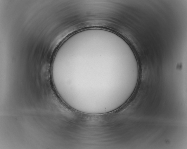 X0000113750786200910211145