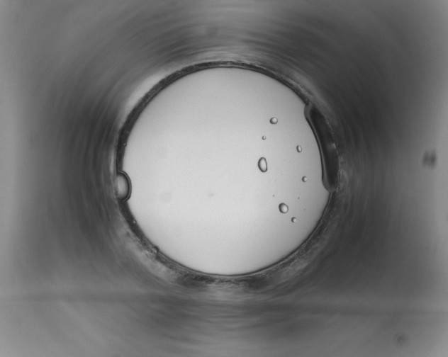 X0000113750788200910211145