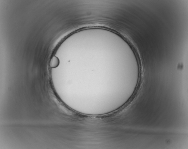 X0000113750789200910211145