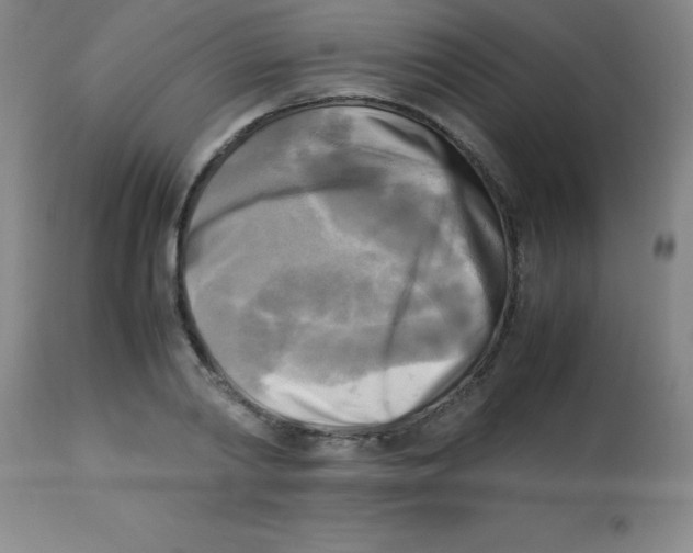 X0000113750790200910211145