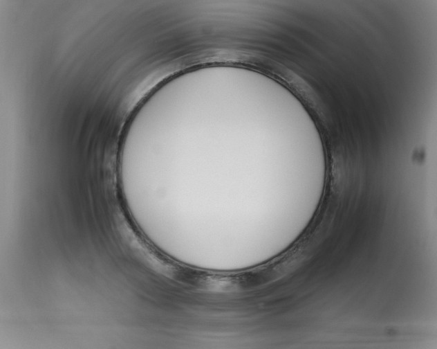 X0000113750794200910211145