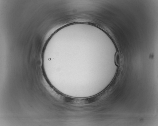 X0000113750795200910211145