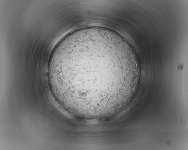 X0000113750798200910211145
