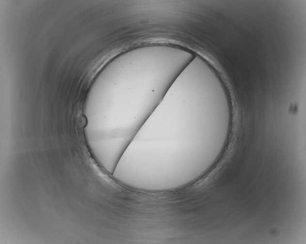 X0000113750801200910211145