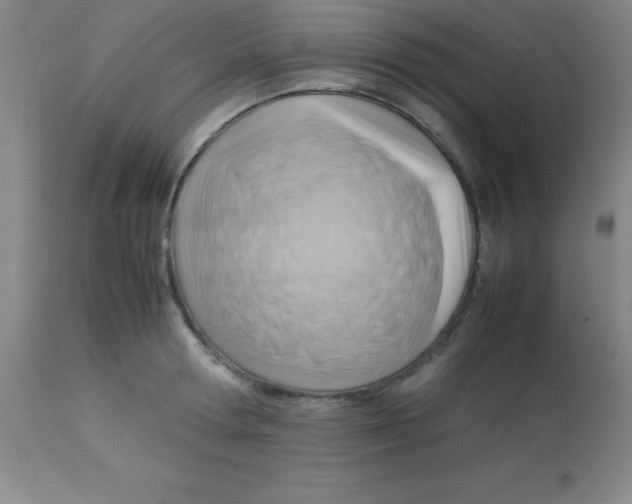 X0000113750802200910211145